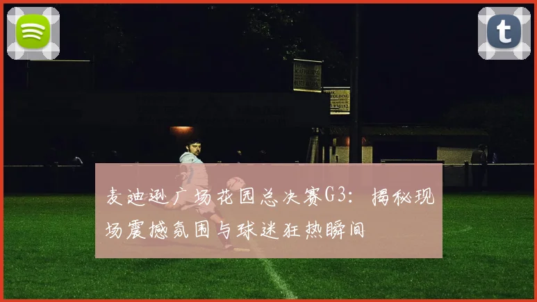 麦迪逊广场花园总决赛G3:揭秘现场震撼氛围与球迷狂热瞬间