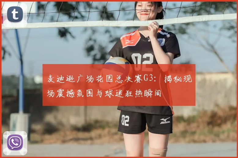 麦迪逊广场花园总决赛G3：揭秘现场震撼氛围与球迷狂热瞬间
