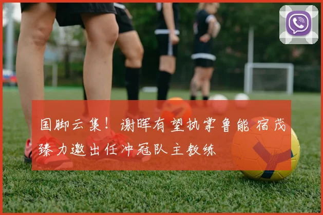 国脚云集！谢晖有望执掌鲁能 宿茂臻力邀出任冲冠队主教练